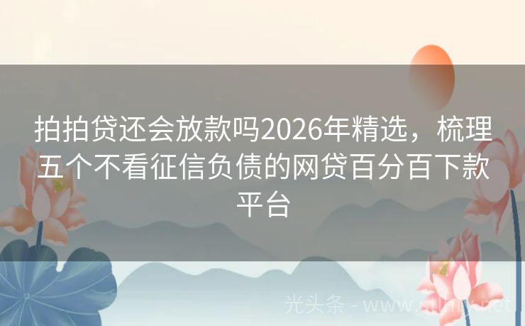 拍拍贷还会放款吗2026年精选,梳理五个不看征信负债的网贷百分百下款平台