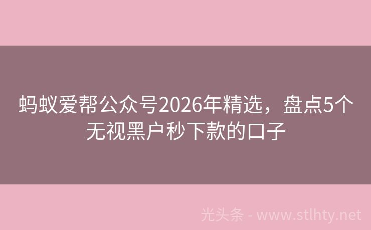 蚂蚁爱帮公众号2026年精选，盘点5个无视黑户秒下款的口子