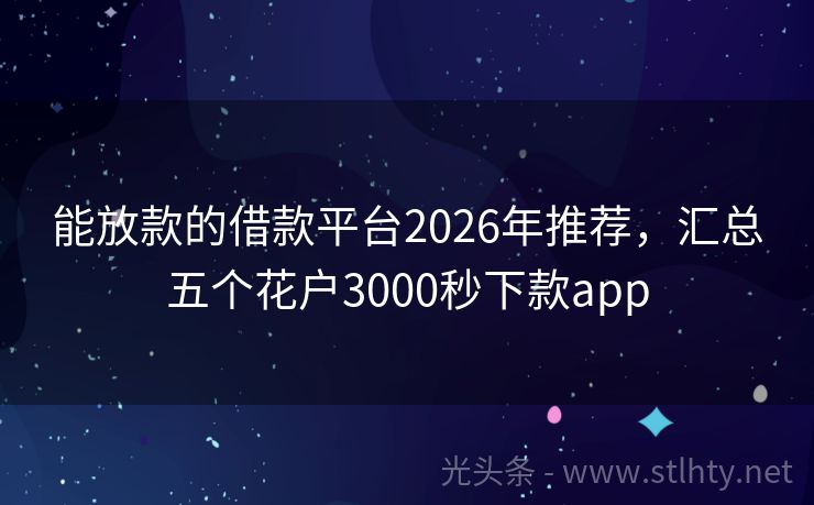 能放款的借款平台2026年推荐,汇总五个花户3000秒下款app