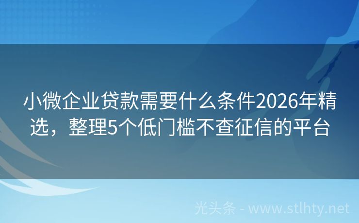 小微企业贷款需要什么条件2026年精选,整理5个低门槛不查征信的平台