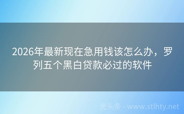 2026年最新现在急用钱该怎么办,罗列五个黑白贷款必过的软件