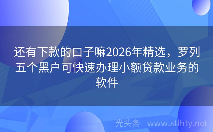 还有下款的口子嘛2026年精选,罗列五个黑户可快速办理小额贷款业务的软件