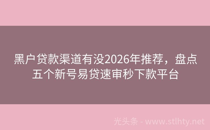黑户贷款渠道有没2026年推荐,盘点五个新号易贷速审秒下款平台