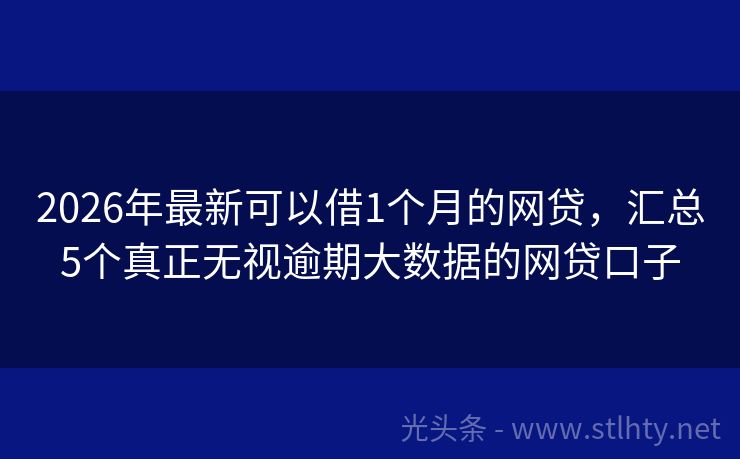 2026年最新可以借1个月的网贷,汇总5个真正无视逾期大数据的网贷口子