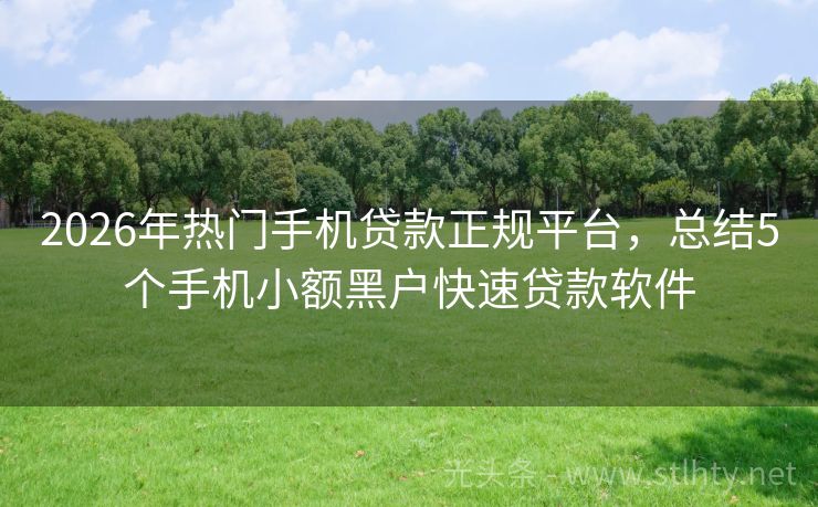 2026年热门手机贷款正规平台，总结5个手机小额黑户快速贷款软件