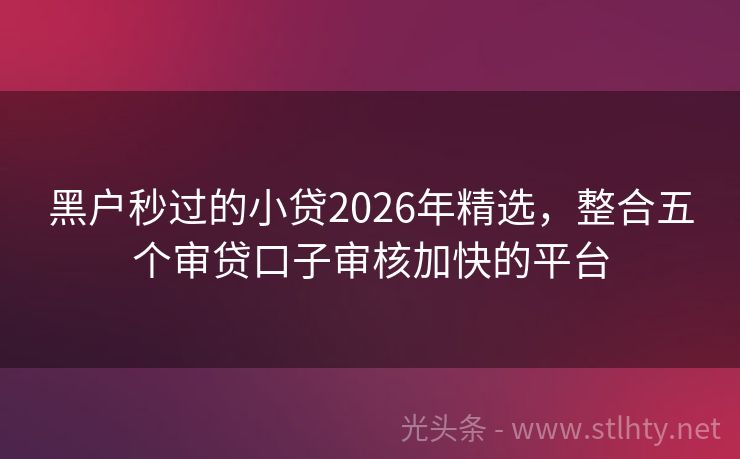 黑户秒过的小贷2026年精选,整合五个审贷口子审核加快的平台