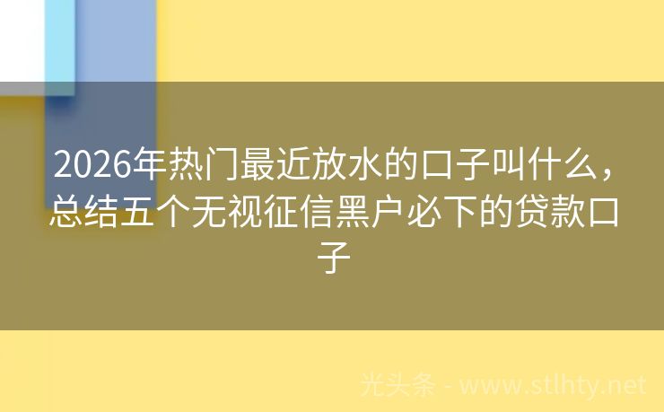 2026年热门最近放水的口子叫什么,总结五个无视征信黑户必下的贷款口子
