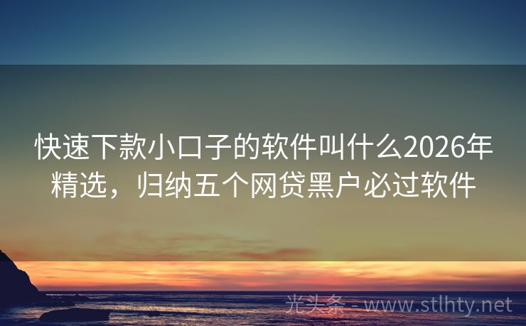 快速下款小口子的软件叫什么2026年精选,归纳五个网贷黑户必过软件