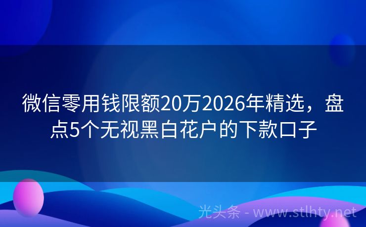 微信零用钱限额20万2026年精选，盘点5个无视黑白花户的下款口子