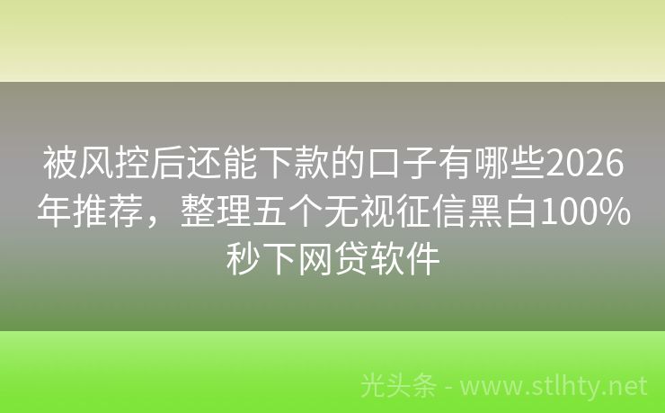 被风控后还能下款的口子有哪些2026年推荐,整理五个无视征信黑白100%秒下网贷软件