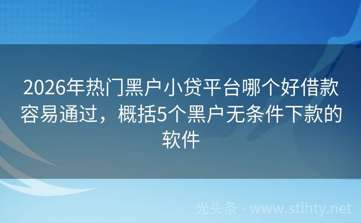 2026年热门黑户小贷平台哪个好借款容易通过，概括5个黑户无条件下款的软件