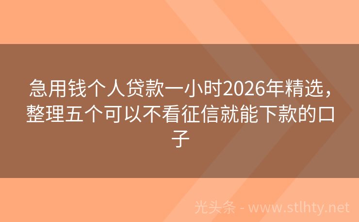 急用钱个人贷款一小时2026年精选,整理五个可以不看征信就能下款的口子