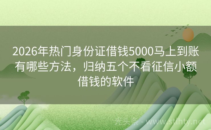 2026年热门身份证借钱5000马上到账有哪些方法,归纳五个不看征信小额借钱的软件