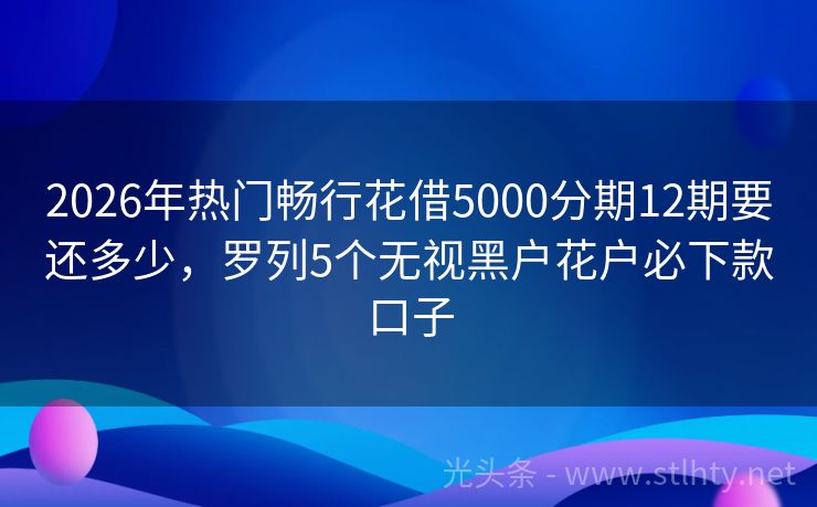 2026年热门畅行花借5000分期12期要还多少,罗列5个无视黑户花户必下款口子