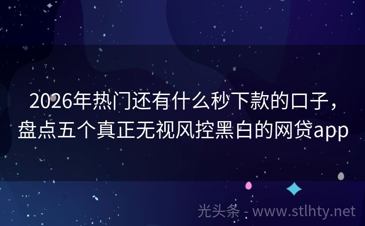 2026年热门还有什么秒下款的口子,盘点五个真正无视风控黑白的网贷app