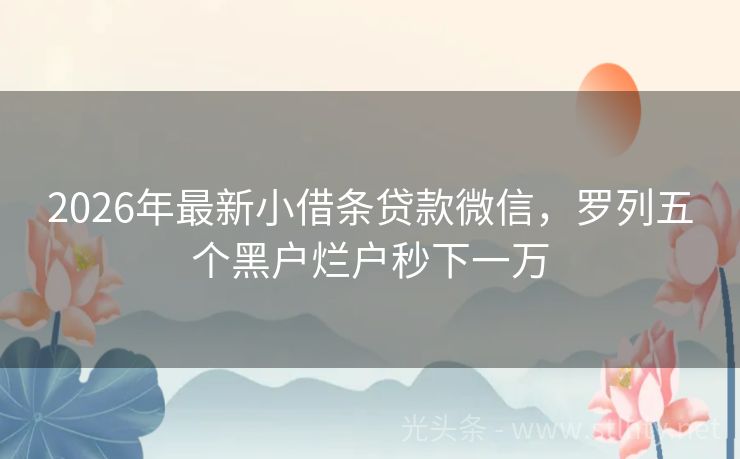 2026年最新小借条贷款微信,罗列五个黑户烂户秒下一万