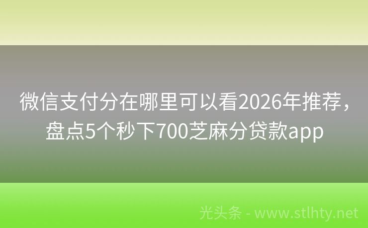 微信支付分在哪里可以看2026年推荐,盘点5个秒下700芝麻分贷款app