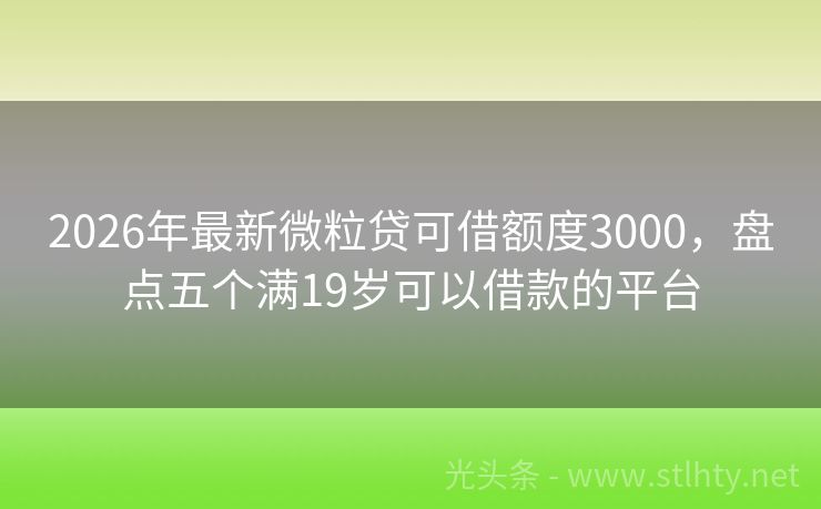 2026年最新微粒贷可借额度3000,盘点五个满19岁可以借款的平台