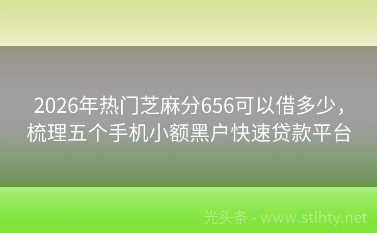 2026年热门芝麻分656可以借多少,梳理五个手机小额黑户快速贷款平台