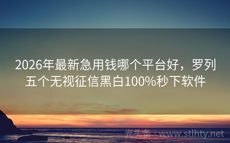 2026年最新急用钱哪个平台好,罗列五个无视征信黑白100%秒下软件