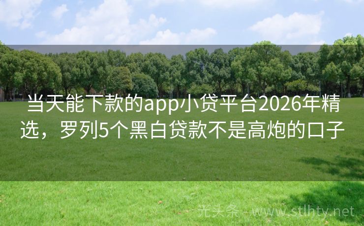 当天能下款的app小贷平台2026年精选,罗列5个黑白贷款不是高炮的口子