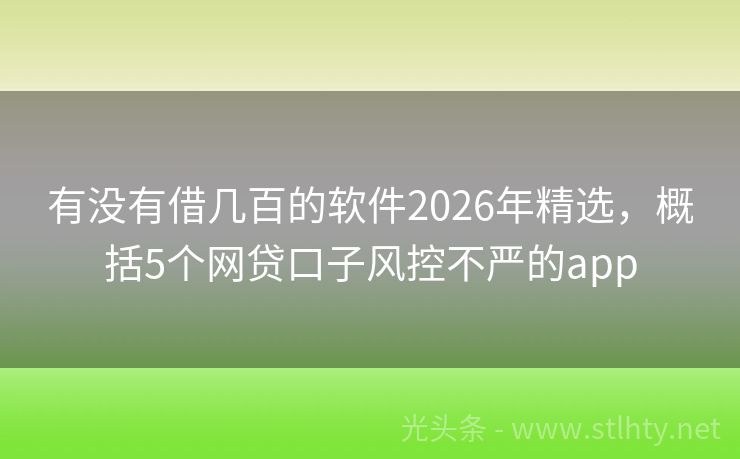 有没有借几百的软件2026年精选,概括5个网贷口子风控不严的app