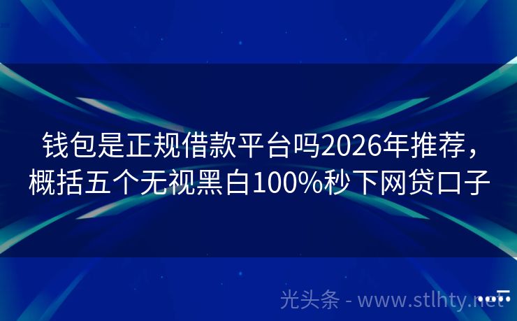 钱包是正规借款平台吗2026年推荐,概括五个无视黑白100%秒下网贷口子
