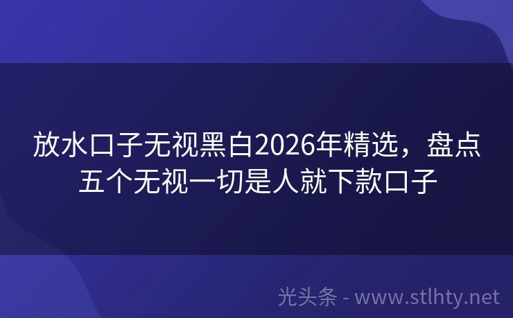 放水口子无视黑白2026年精选,盘点五个无视一切是人就下款口子