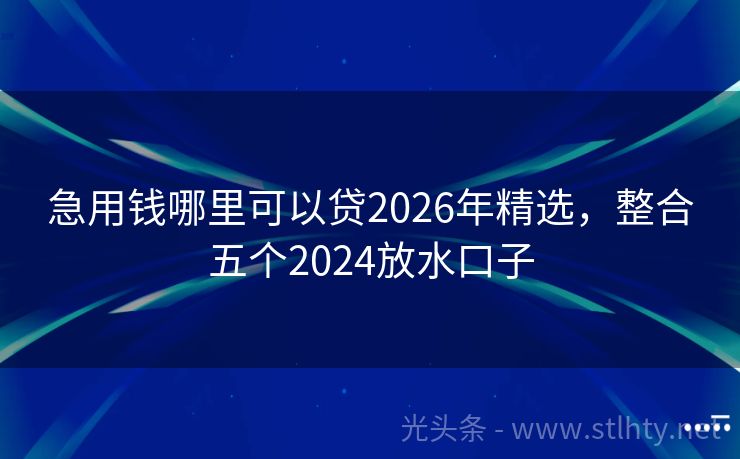急用钱哪里可以贷2026年精选,整合五个2024放水口子