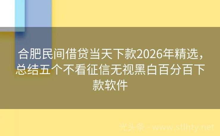 合肥民间借贷当天下款2026年精选,总结五个不看征信无视黑白百分百下款软件