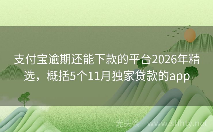 支付宝逾期还能下款的平台2026年精选,概括5个11月独家贷款的app