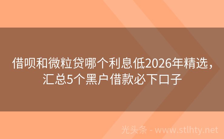 借呗和微粒贷哪个利息低2026年精选,汇总5个黑户借款必下口子