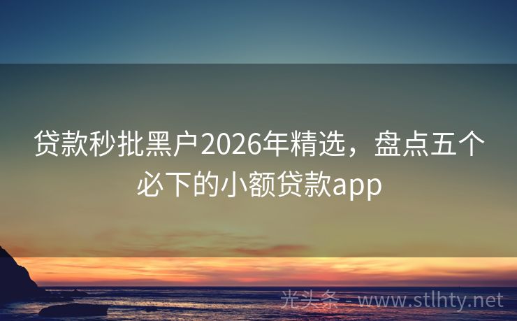 贷款秒批黑户2026年精选,盘点五个必下的小额贷款app