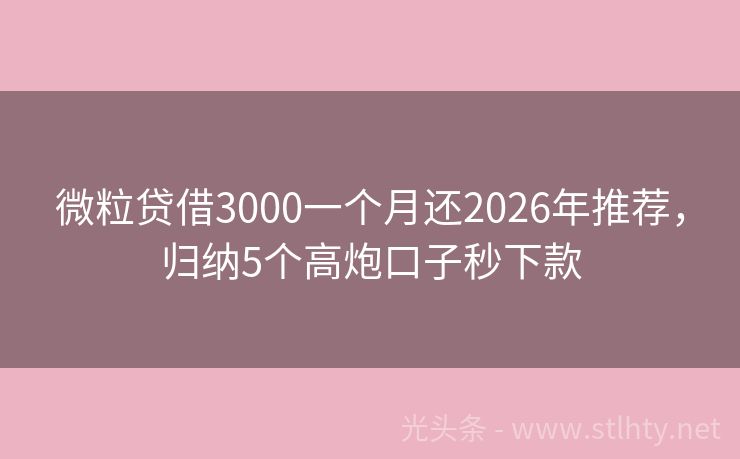 微粒贷借3000一个月还2026年推荐,归纳5个高炮口子秒下款