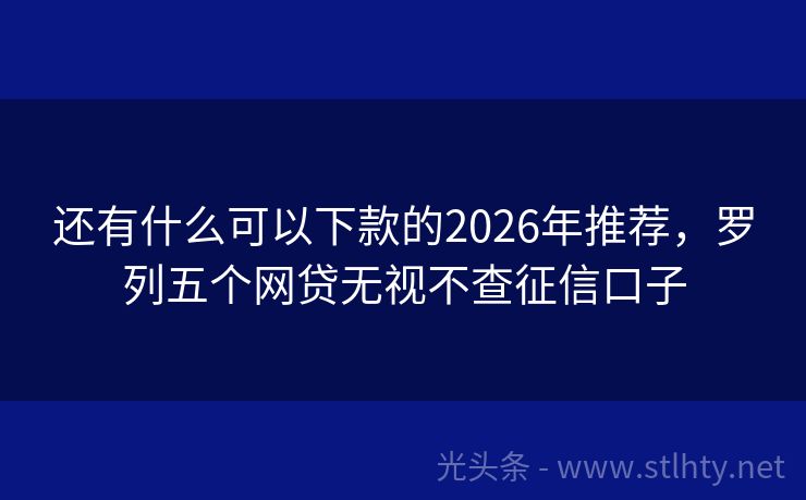 还有什么可以下款的2026年推荐,罗列五个网贷无视不查征信口子