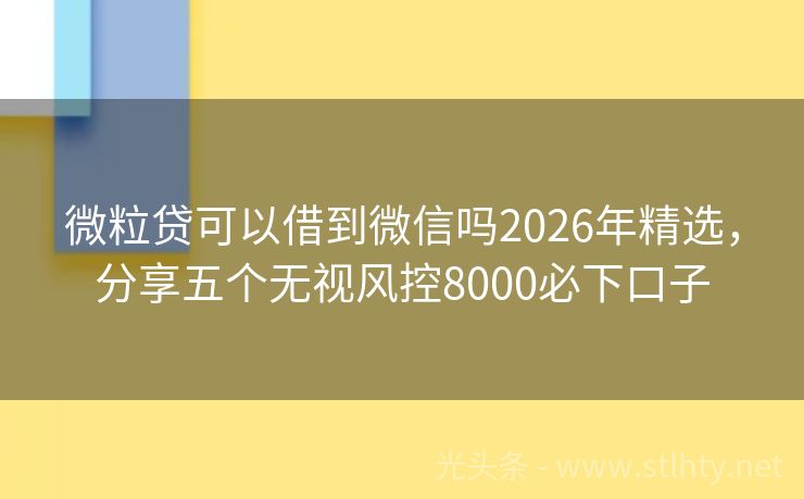 微粒贷可以借到微信吗2026年精选,分享五个无视风控8000必下口子