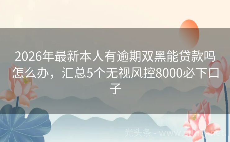 2026年最新本人有逾期双黑能贷款吗怎么办,汇总5个无视风控8000必下口子