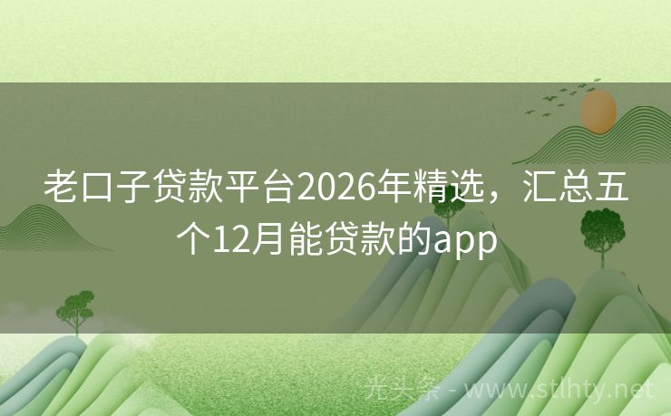 老口子贷款平台2026年精选,汇总五个12月能贷款的app
