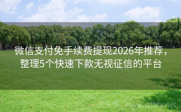 微信支付免手续费提现2026年推荐,整理5个快速下款无视征信的平台