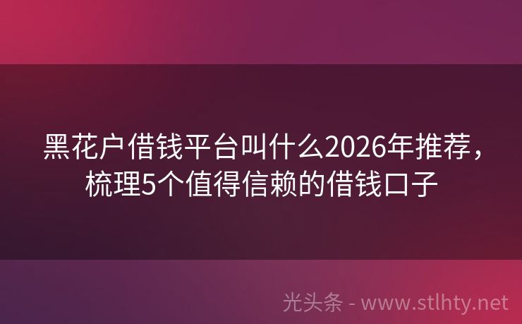黑花户借钱平台叫什么2026年推荐,梳理5个值得信赖的借钱口子