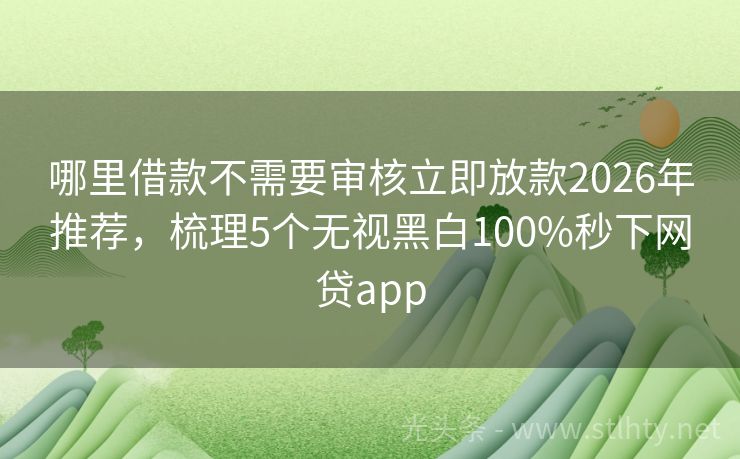 哪里借款不需要审核立即放款2026年推荐,梳理5个无视黑白100%秒下网贷app