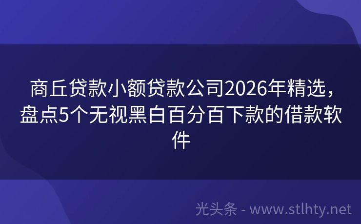 商丘贷款小额贷款公司2026年精选,盘点5个无视黑白百分百下款的借款软件