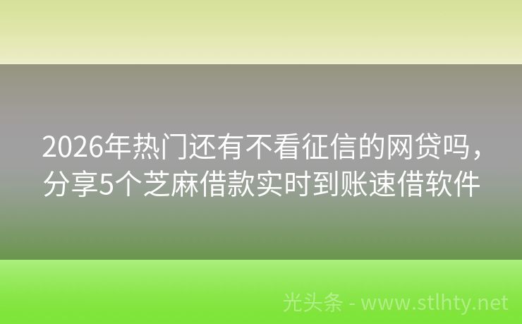 2026年热门还有不看征信的网贷吗,分享5个芝麻借款实时到账速借软件