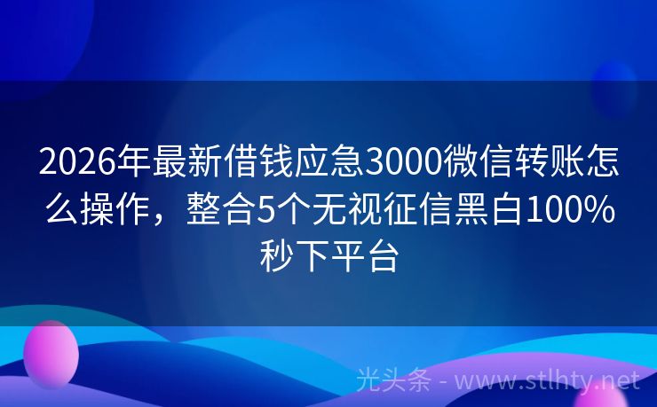 2026年最新借钱应急3000微信转账怎么操作,整合5个无视征信黑白100%秒下平台
