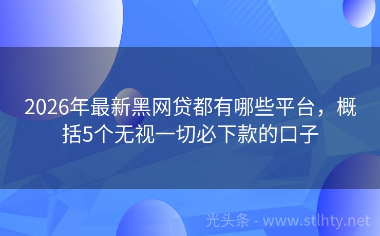 2026年最新黑网贷都有哪些平台,概括5个无视一切必下款的口子