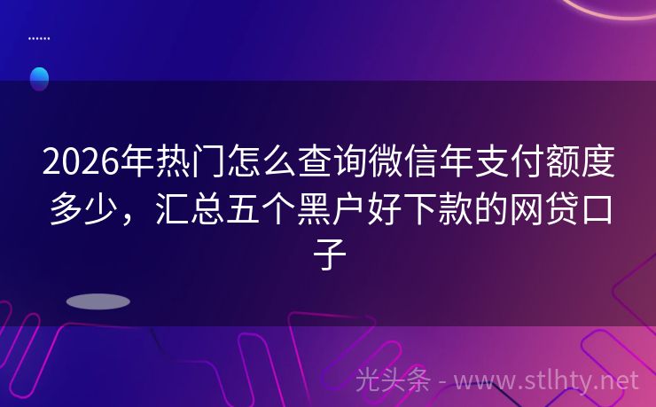 2026年热门怎么查询微信年支付额度多少,汇总五个黑户好下款的网贷口子