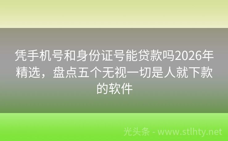 凭手机号和身份证号能贷款吗2026年精选,盘点五个无视一切是人就下款的软件
