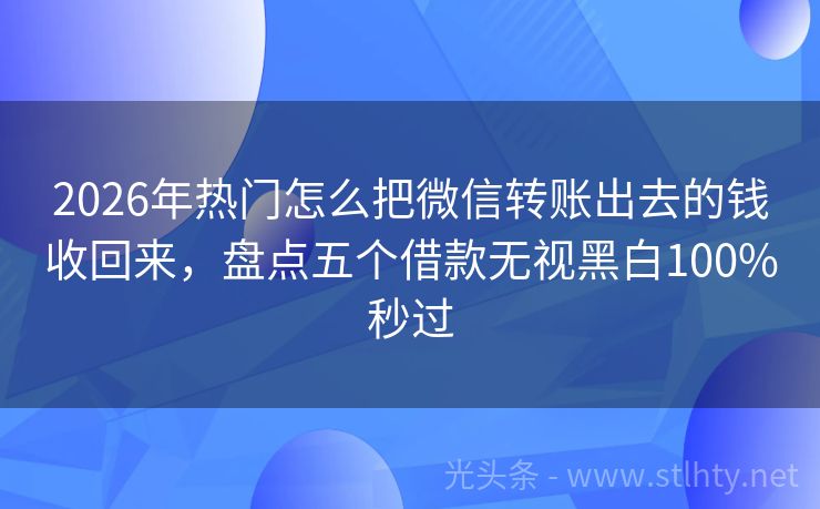 2026年热门怎么把微信转账出去的钱收回来，盘点五个借款无视黑白100%秒过