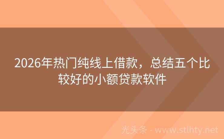 2026年热门纯线上借款,总结五个比较好的小额贷款软件