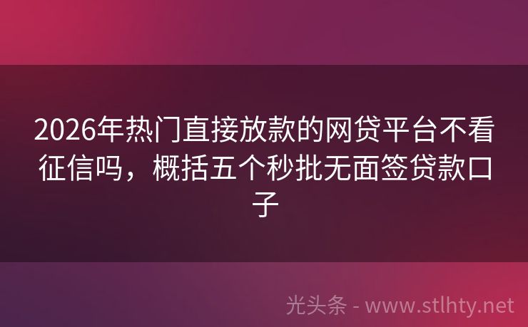 2026年热门直接放款的网贷平台不看征信吗,概括五个秒批无面签贷款口子